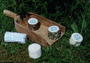les fromages saint-agne