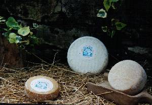 la tomme de ch�vre tradition